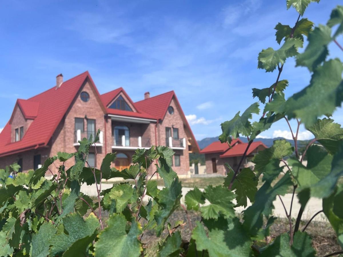 Begaso Family Winery Hotel Kvareli Eksteriør billede